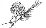Thread 82182468 OP Image