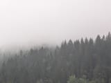 PXL_20250815_080258861