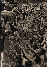 Thread 82196770 OP Image