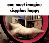 Thread 82198674 OP Image
