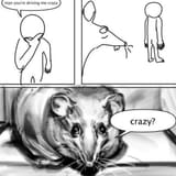 crazy