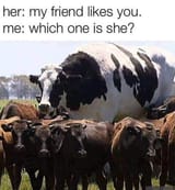 1738318878145100