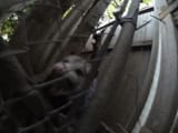 IMG_20250815_182418_130