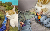 catto