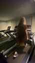 Treadmill_thumb.jpg