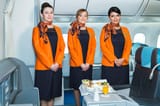 flight_attendants