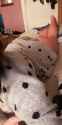 received_1066123430221521(1)_thumb.jpg