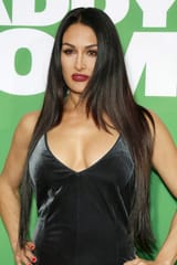 nikki-bella-hair-6-500x750