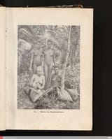 1818137