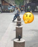1003894335