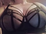 StevieBra