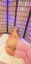 RDT_20250604_090311_thumb.jpg
