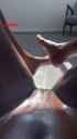 RDT_20250724_053400_thumb.jpg