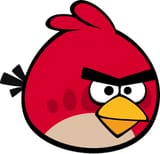 red bird