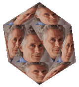 icassahedron