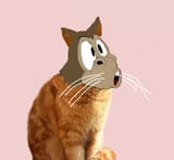 SODACAT