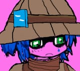 nice patrol