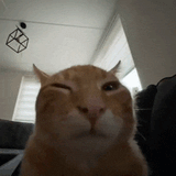 buh