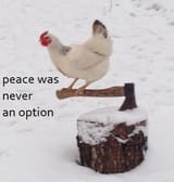 1551061920821