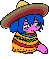 ponchobeary