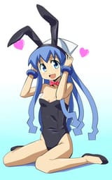 ika bunny 2