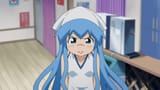 ika pout 6