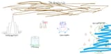 map of 4chan edit