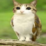 1234