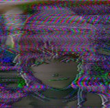 1000013213