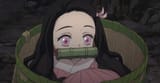 Thread 12339377 OP Image