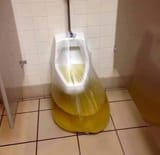 pissbag