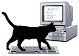 catliketyping