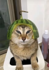_