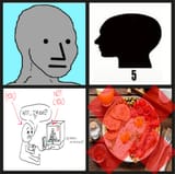 npc
