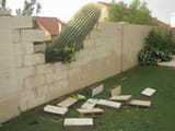 Thread 12346925 OP Image