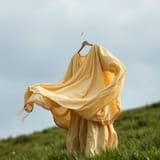Thread 12348251 OP Image