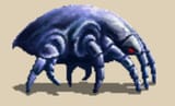 Thread 12349002 OP Image