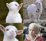 Thread 12349801 OP Image