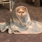 Sleepy