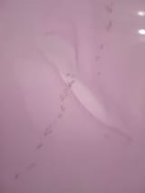 IMG20250620122846