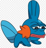 ormies-mudkip-pepe-11563255650mf6dovcy0a
