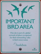 bird-area-226x300