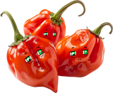hote peper