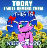 nicetiwrt2