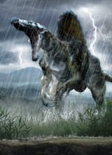 spinosaurus_by_herschel_hoffmeyer_d7lbqyw-375w-2x