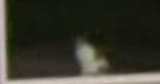 Thread 12354086 OP Image