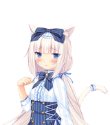 Nkpra_029