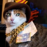 Thread 12424378 OP Image