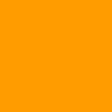 Neon-Orange-FF9B00