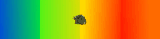 Spikeman-has-the-gradients